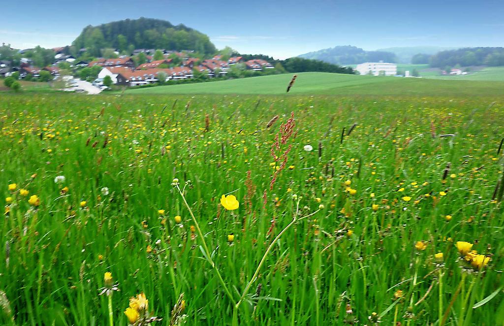 Ferienwohnung Gerda Zandt Esterno foto